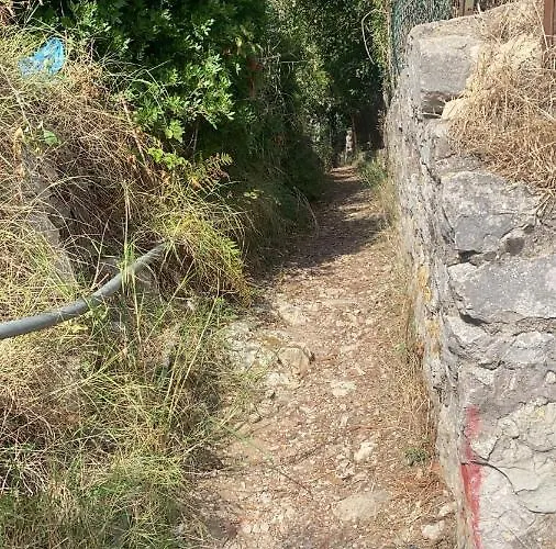 Casa de hóspedes Enrica 3*